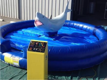 Mechanical Shark New England Event Rental Party Vision