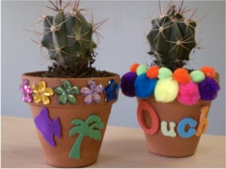Cactus Creations