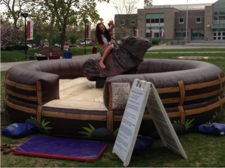 Mechanical Bull